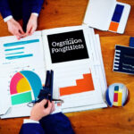 organization-portfolio-management