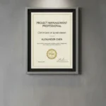 مدرک pmp چیست
